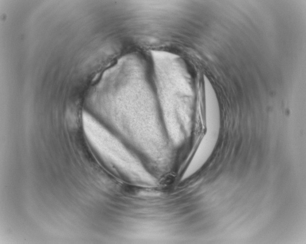 X0000088630515200706151920