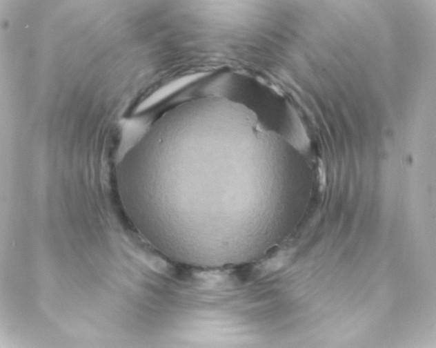 X0000088630516200706151920