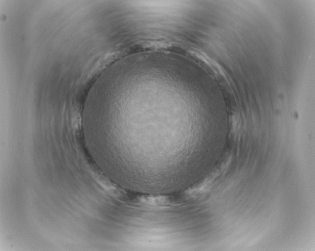 X0000088630517200706151920