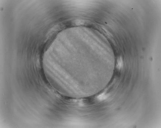 X0000088630524200706151920