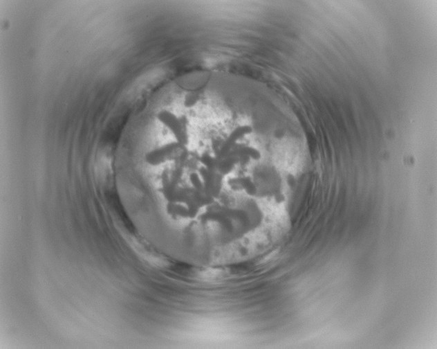 X0000088630527200706151920