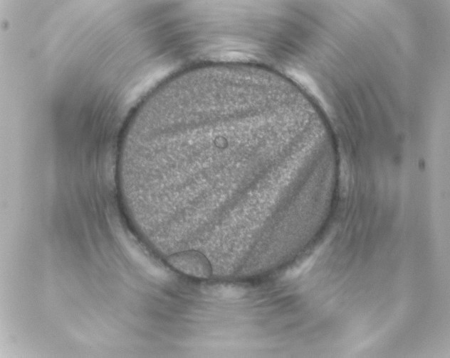 X0000088630533200706151919