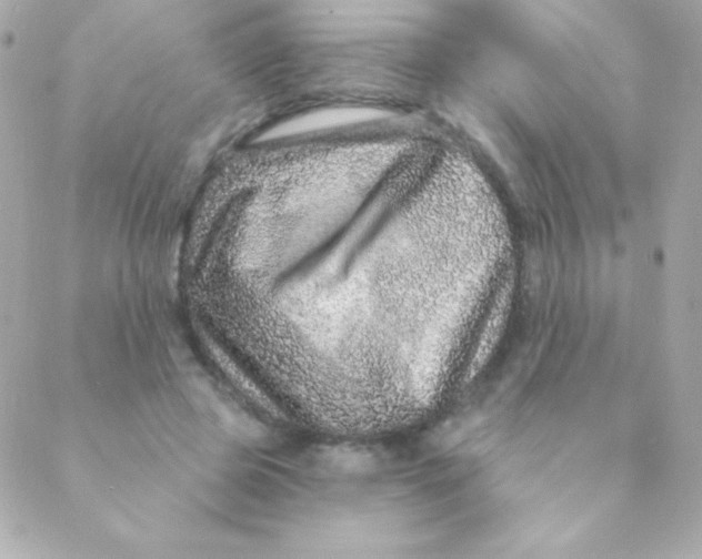 X0000088630545200706151920