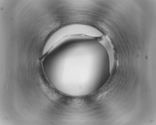 X0000088630546200706151920