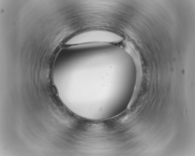 X0000088630548200706151920