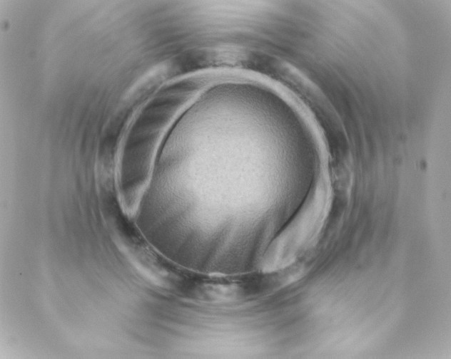 X0000088630552200706151920