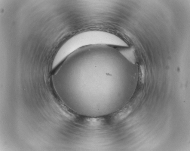 X0000088630558200706151920