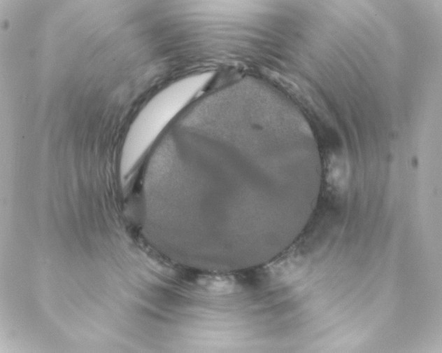 X0000088630559200706151920