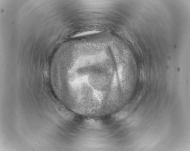 X0000088630561200706151920