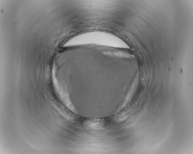 X0000088630563200706151920