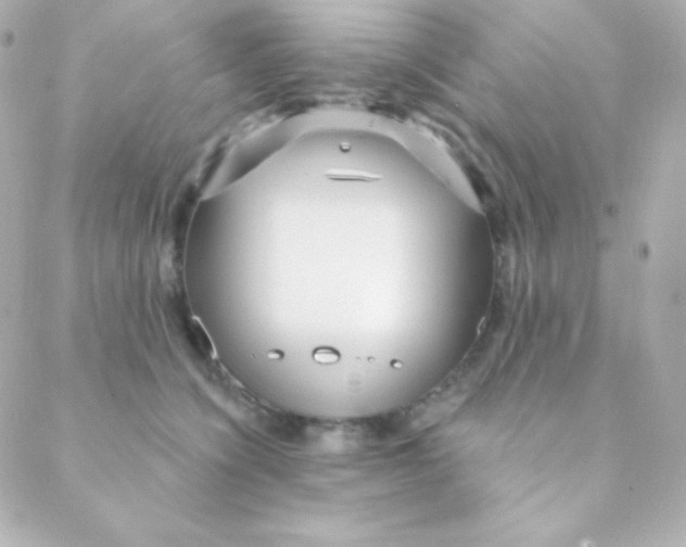 X0000088630564200706151920