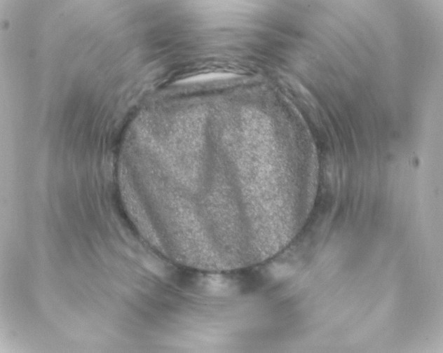 X0000088630565200706151920