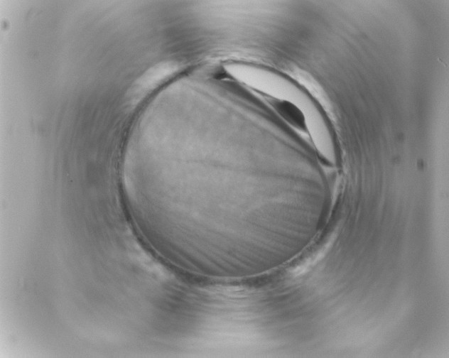 X0000088630577200706151919