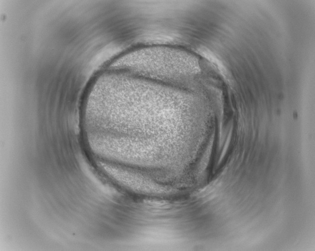 X0000088630582200706151919