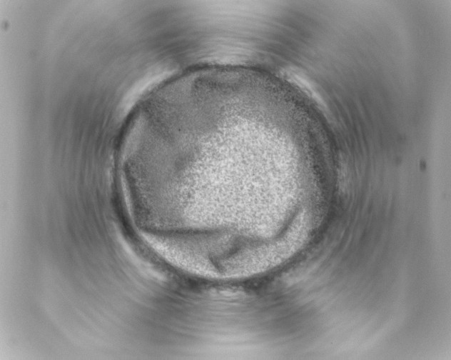 X0000088630586200706151919