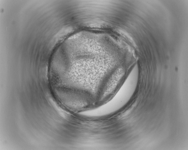 X0000088630589200706151919