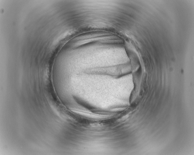 X0000088630591200706151919