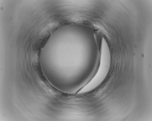 X0000088630597200706151919