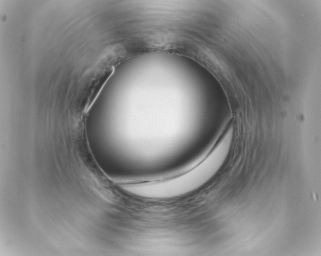 X0000088630601200706151919