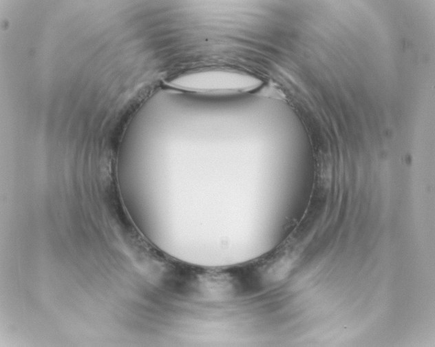 X0000088630603200706151919