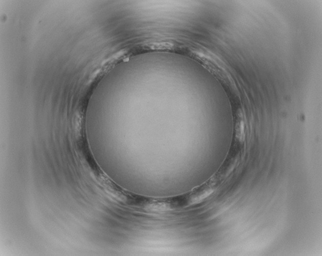 X0000088630604200706151919