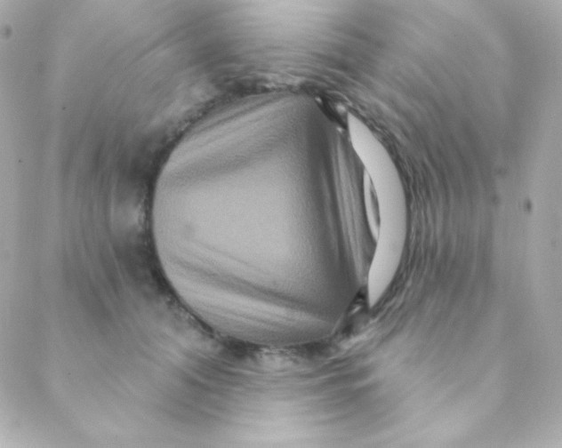 X0000088630608200706151919