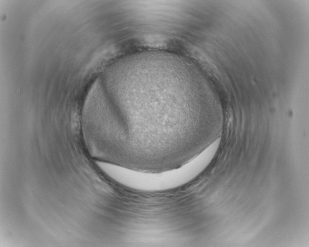 X0000088630609200706151919