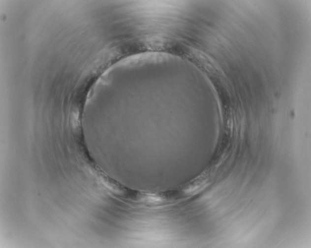 X0000088630610200706151919
