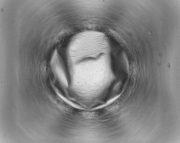X0000088630615200706151919