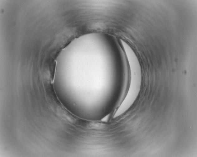 X0000088630617200706151919