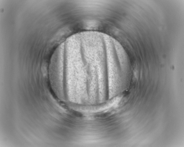 X0000088630620200706151919