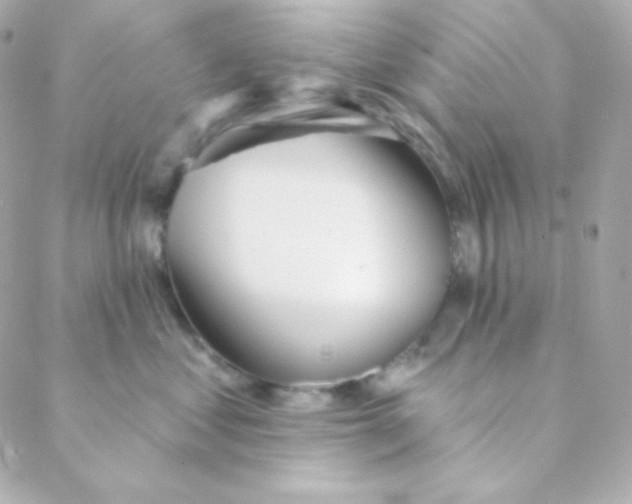 X0000088630621200706151919