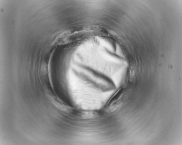 X0000088630623200706151919