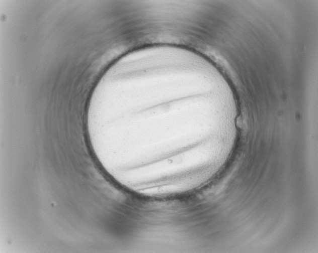 X0000088630625200706151918