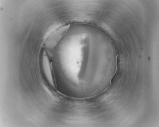 X0000088630626200706151918