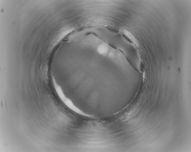 X0000088630627200706151918