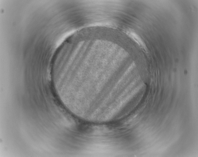 X0000088630628200706151918