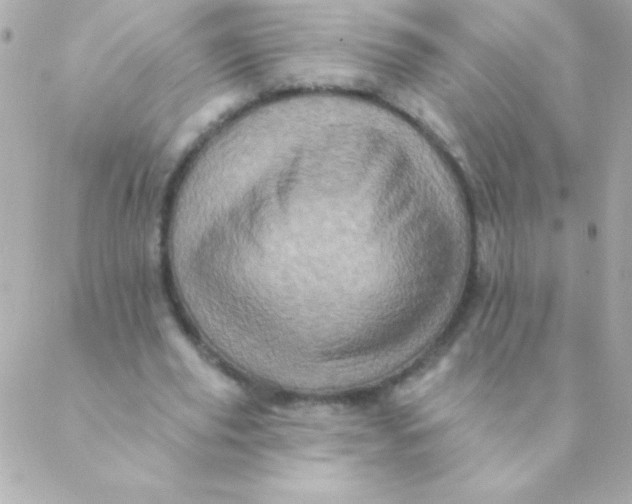 X0000088630629200706151918