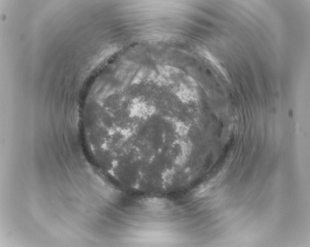 X0000088630637200706151918