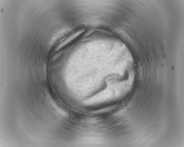 X0000088630638200706151918