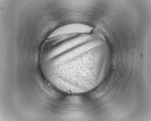 X0000088630639200706151918
