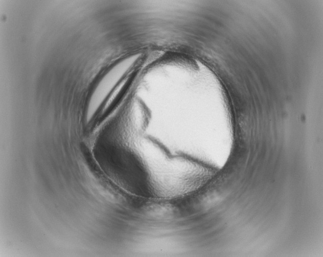 X0000088630642200706151918