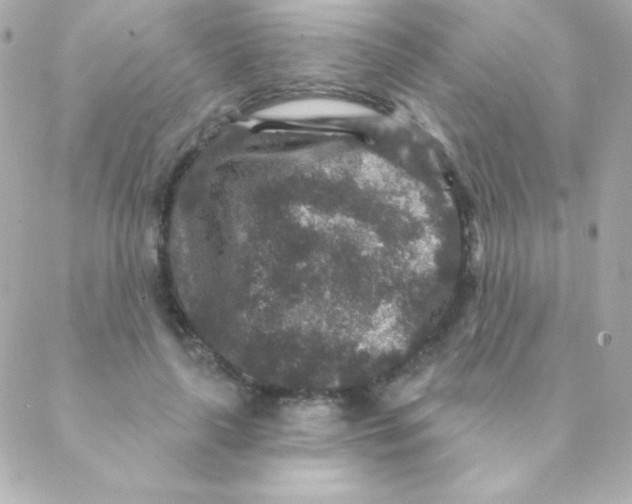 X0000088630643200706151918