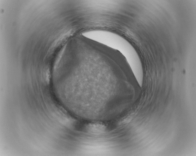 X0000088630644200706151918
