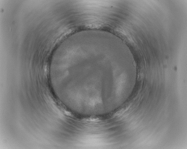 X0000088630647200706151918