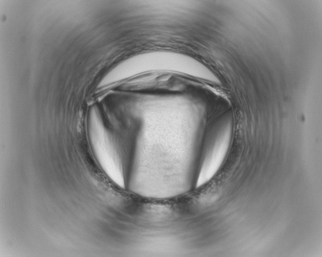 X0000088630649200706151918