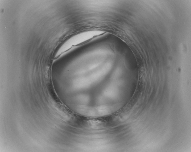 X0000088630650200706151918
