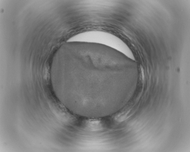 X0000088630651200706151918
