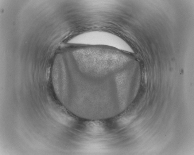X0000088630652200706151918
