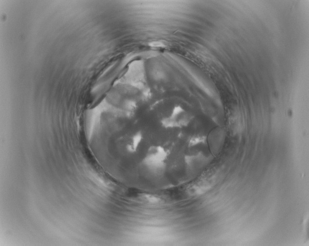 X0000088630654200706151918